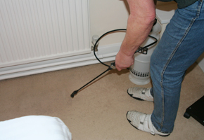 Carpet Cleaning Somerset