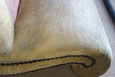 Carpet Cleaning Taunton