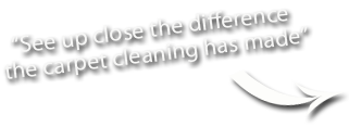 Taunton Carpet Cleaning